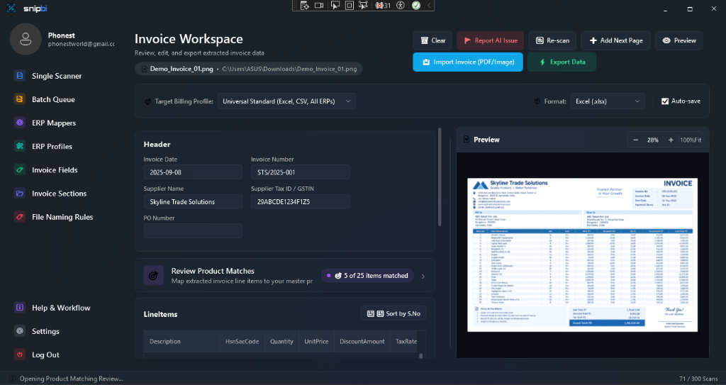 SnipBI Invoice Workspace and Side-by-Side Preview